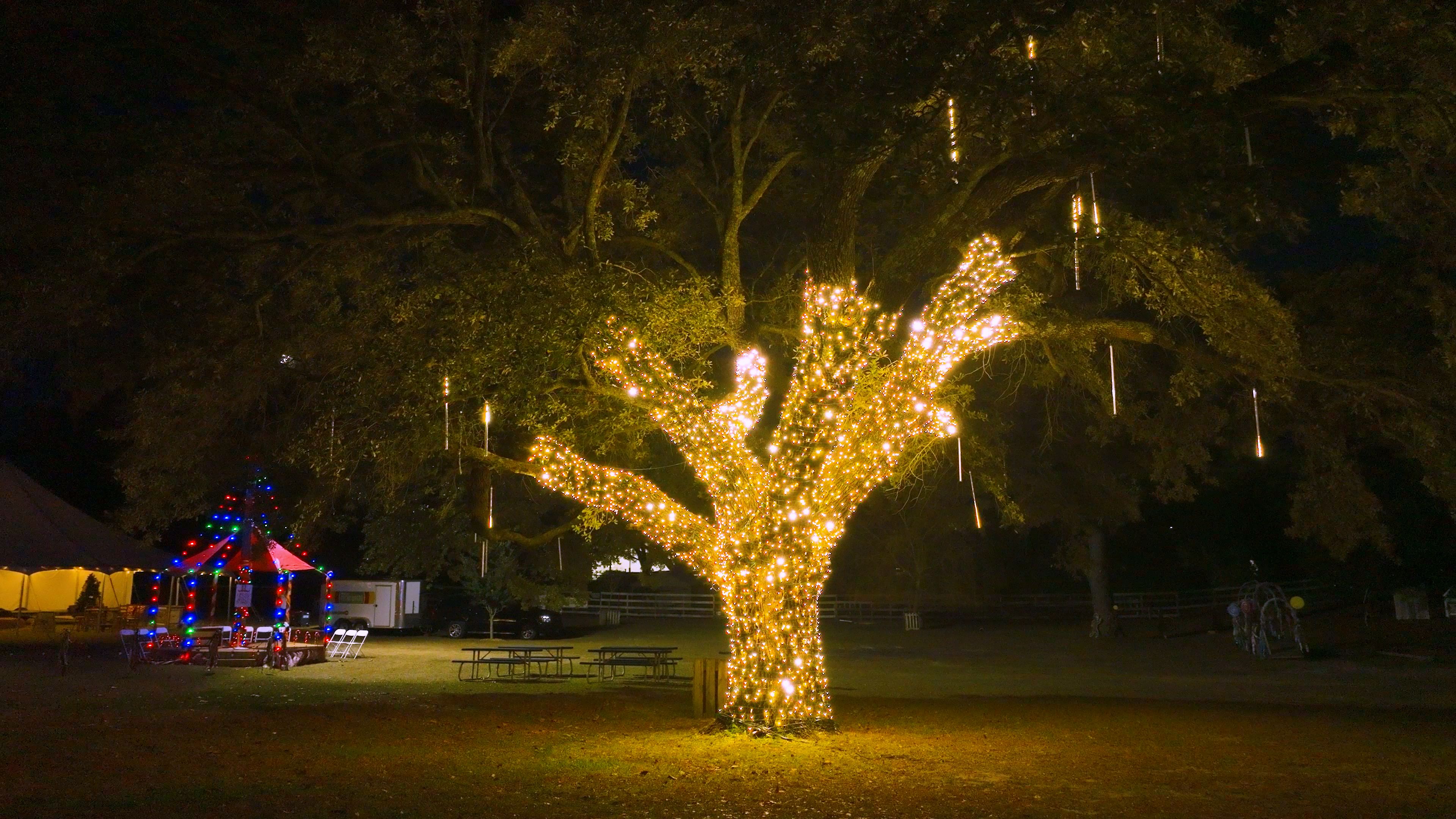 An image of a Window Ninjas technician cleaning a dryer vent.